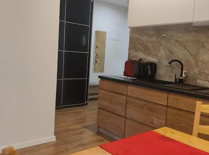 - Przy Plazy Z Sauna 公寓 索波特