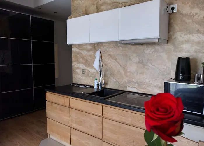 公寓 - Przy Plazy Z Sauna 索波特