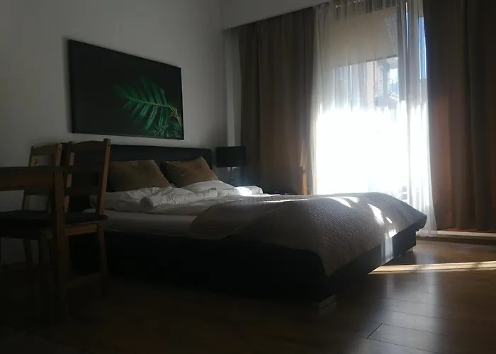 - Przy Plazy Z Sauna 公寓