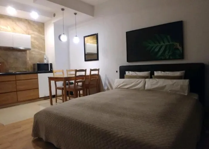 - Przy Plazy Z Sauna 索波特